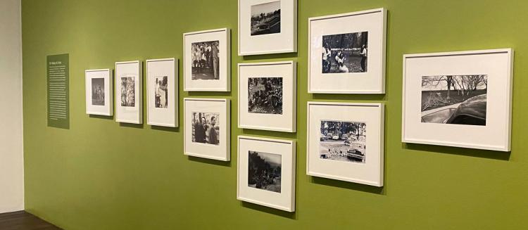 IN-GALLERY SHOT OF CANTOR EXHIBITION