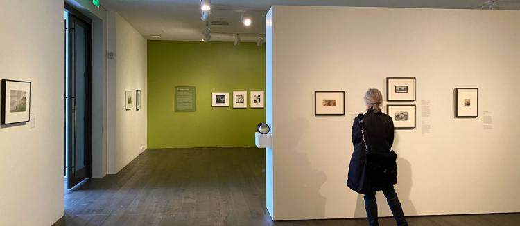 IN-GALLERY SHOT OF CANTOR EXHIBITION