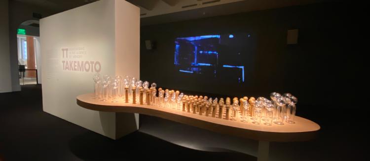 exhibition shot