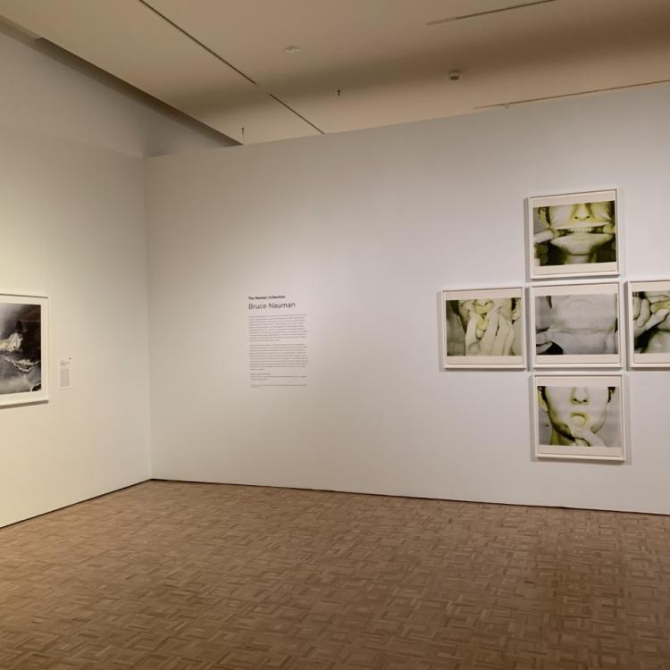 An in-gallery shot of the past exhibition "The Marmor Collection: Bruce Nauman" on view at the Cantor from Jan 12 through Apr 3, 2022
