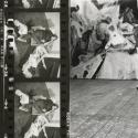 A black and white collage of Hershman's artwork and Bing's portrait