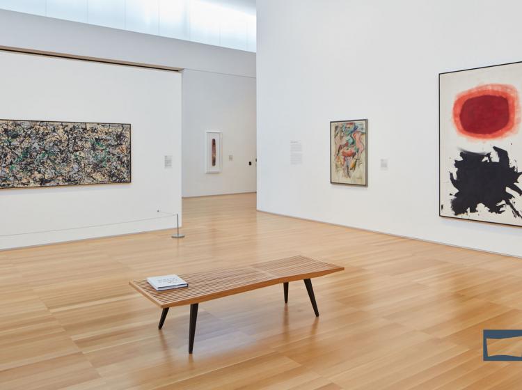 ACatSU_Modern Masters_bench with a view in the permanent collection_Zoom Background