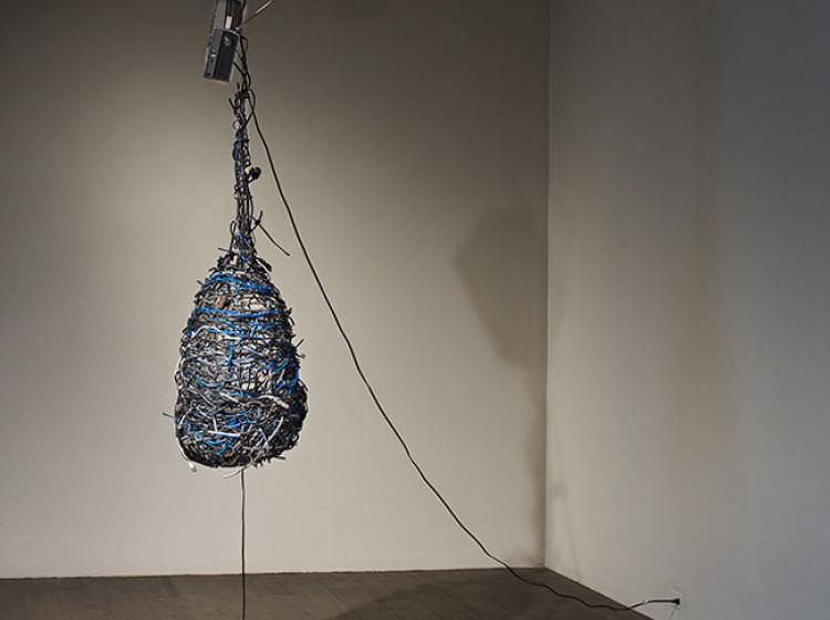 An image of the artwork Nest by Diana Li