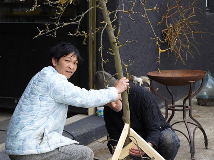 Danh Vo
