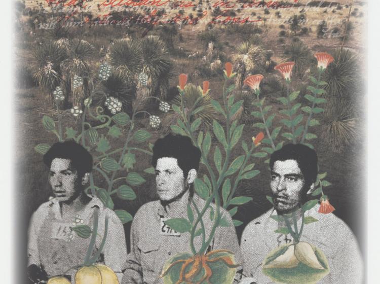 Pages from Amalia Mesa-Bains, Curandera's Botanica binder