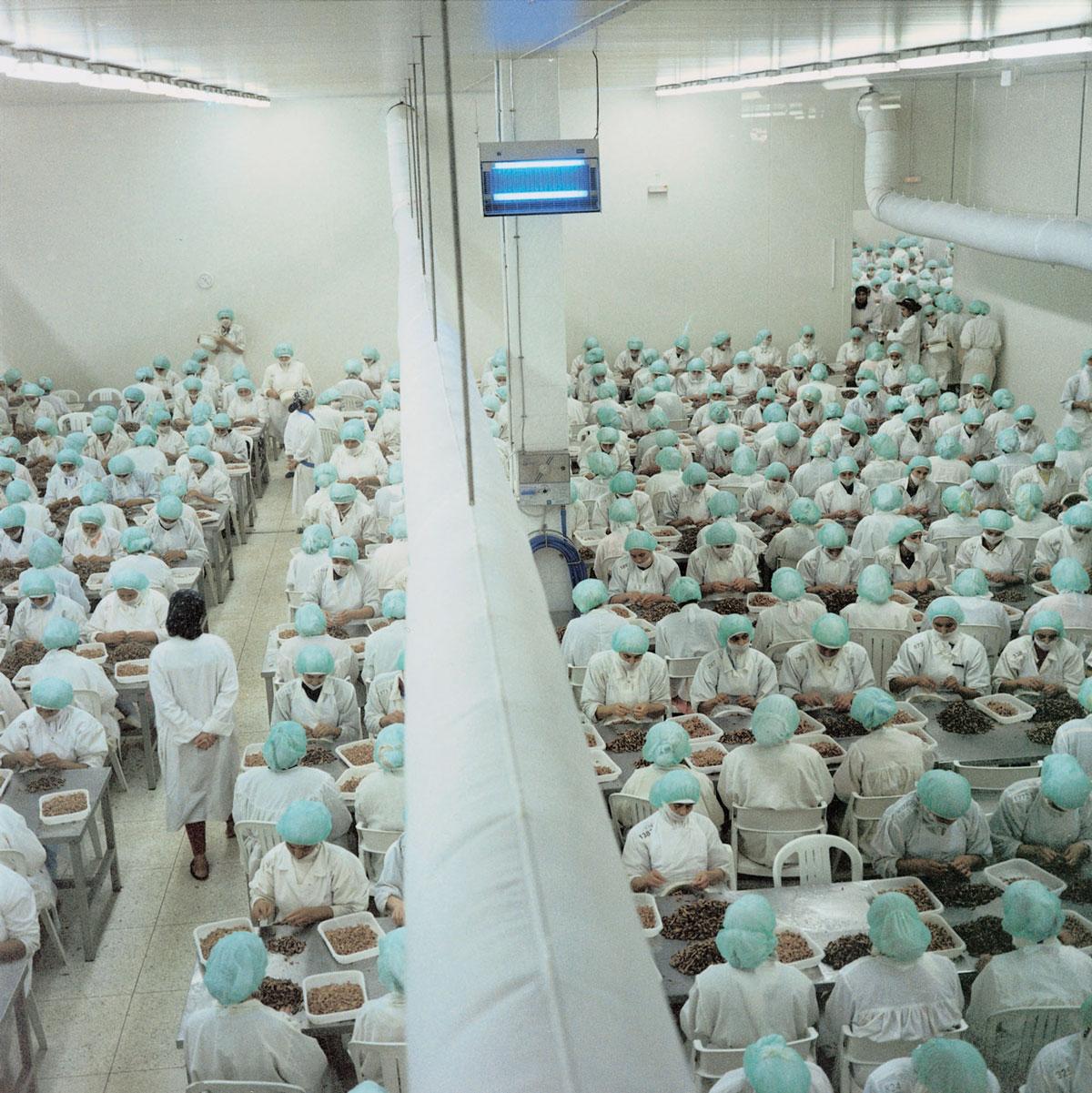 Yto Barrada, Usine