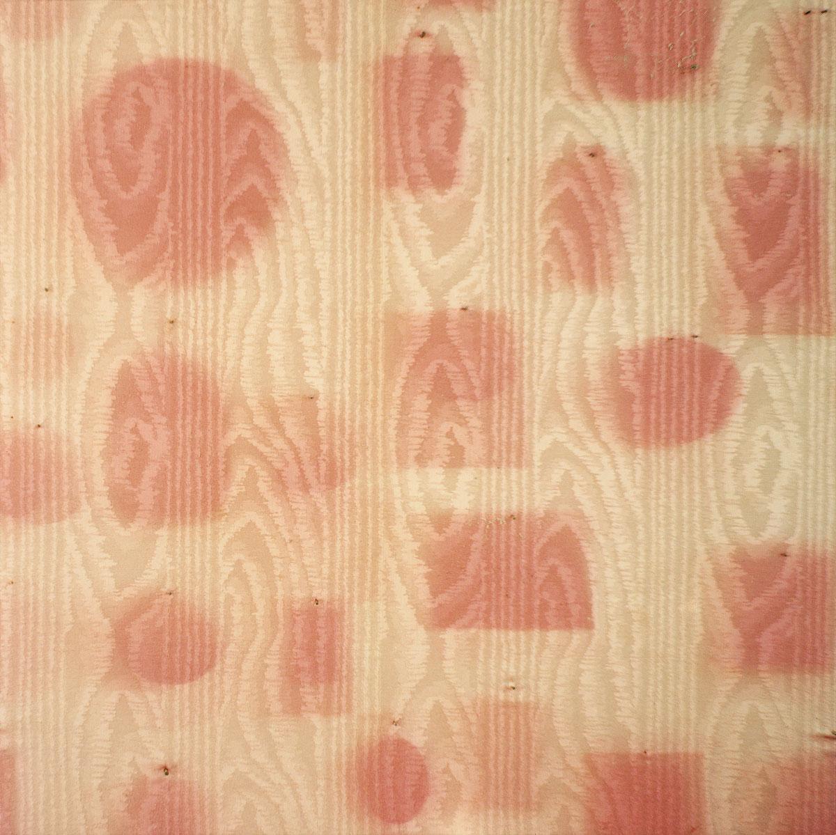 An image of Barrada's "Abre genealogique"